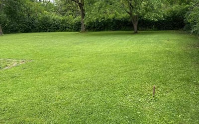 Photo of Amanda F.'s yard after getting lawn care in Country Club Hills, IL