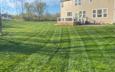 Photo of Beth H.'s yard after getting lawn care in North Royalton, OH