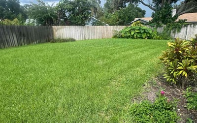 Photo of Elizabeth T.'s yard after getting lawn care in Orlando, FL