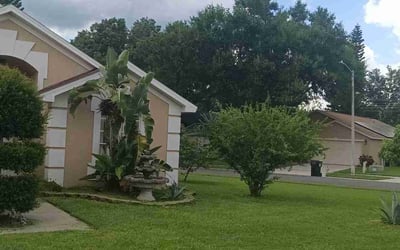 Photo of Kathleen M.'s yard after getting lawn care in Apopka, FL