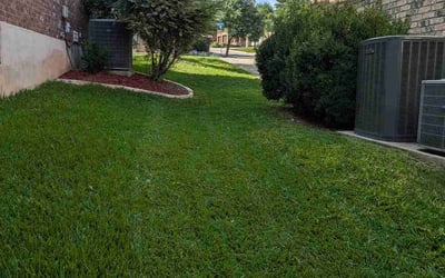 Photo of Mary K.'s yard after getting lawn care in La Vernia, TX