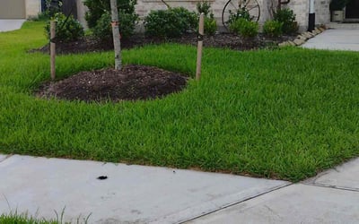 Photo of Calvin S.'s yard after getting lawn care in Norfolk, VA