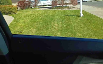 Photo of Katherine M.'s yard after getting lawn care in Massillon, OH