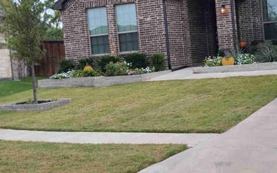 Photo of Qudsia A.'s yard after getting lawn care in McKinney, TX