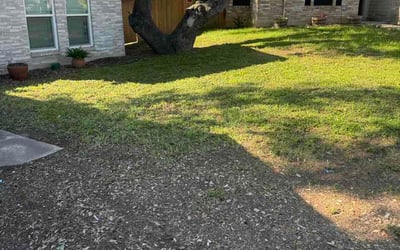 Photo of Jovonté H.'s yard after getting lawn care in Carbondale, IL