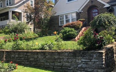 Photo of Jennifer M.'s yard after getting lawn care in Norwood, OH