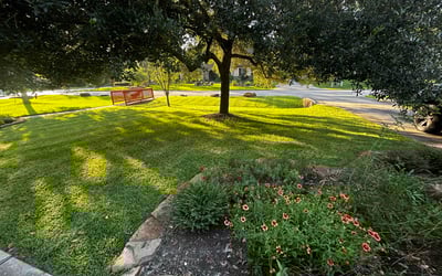 Photo of Fred E.'s yard after getting lawn care in Essex, MD
