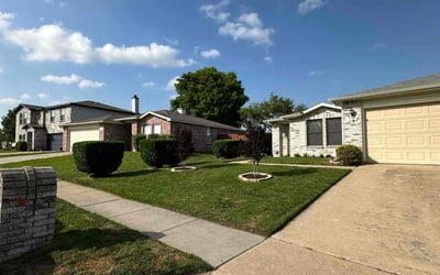 Photo of Terry R.'s yard after getting lawn care in McKinney, TX
