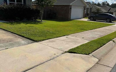 Photo of Roberta L.'s yard after getting lawn care in Cantonment, FL