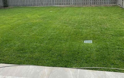 Photo of Kelly M.'s yard after getting lawn care in Alexandria, LA