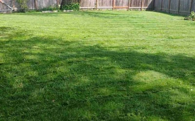 Photo of Megan G.'s yard after getting lawn care in Beaverton, OR