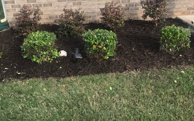 Photo of Pamela B.'s yard after getting tree care in Conway, AR