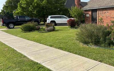 Photo of Mohsen M.'s yard after getting lawn care in Sudbury, MA