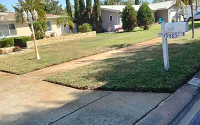 Photo of Joseph M.'s yard after getting lawn care in Seminole, FL