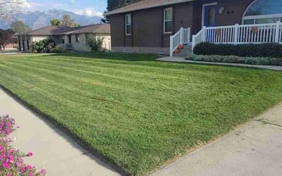 Photo of Chanel H.'s yard after getting lawn care in South Jordan, UT