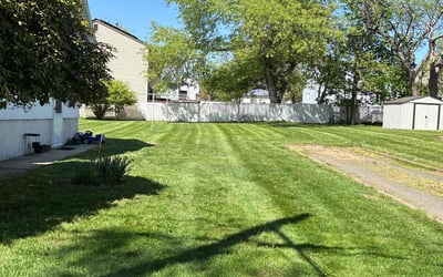 Photo of Maegan B.'s yard after getting lawn care in Haledon, NJ