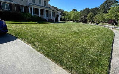 Photo of Christina C.'s yard after getting lawn care in Newport News, VA