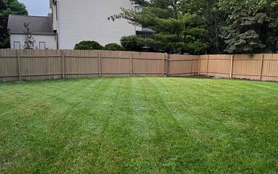 Photo of Sunyung S.'s yard after getting lawn care in Westfield, NJ