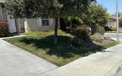 Photo of Vernon H.'s yard after getting lawn care in Menifee, CA