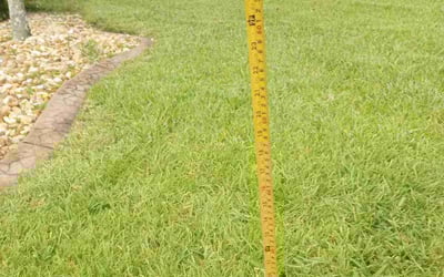 Photo of Janette B.'s yard after getting lawn care in Pembroke Pines, FL
