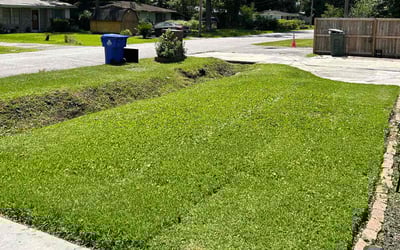 Photo of Angela K.'s yard after getting lawn care in Okatie, SC
