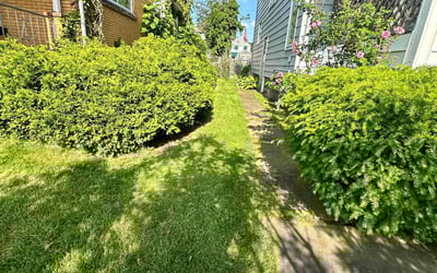 Photo of Ashaun D.'s yard after getting lawn care in Hermitage, PA