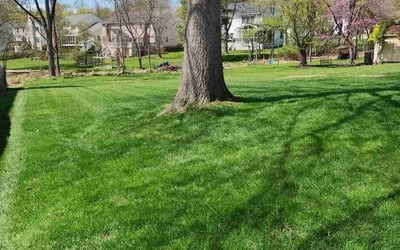 Photo of Mary D.'s yard after getting lawn care in Ellicott City, MD