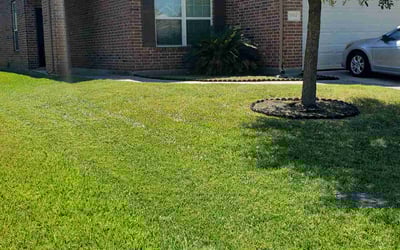 Photo of Susan C.'s yard after getting lawn care in Humble, TX