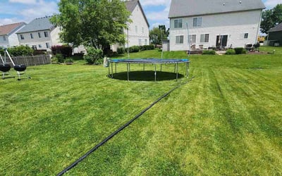 Photo of Allison T.'s yard after getting lawn care in Joliet, IL