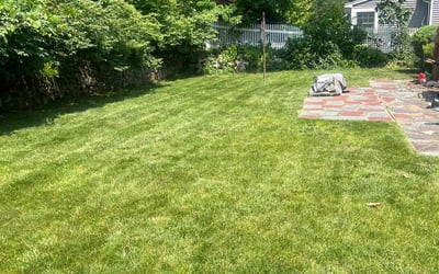 Photo of Devin L.'s yard after getting lawn care in Milton, MA