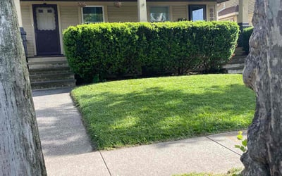 Photo of Jenny S.'s yard after getting lawn care in Cleveland, OH