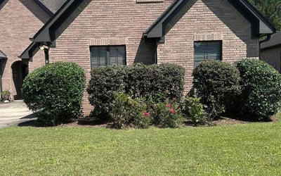Photo of Devin M.'s yard after getting lawn care in Springfield, IL