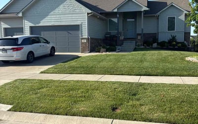 Photo of Alexis P.'s yard after getting lawn care in Augusta, KS