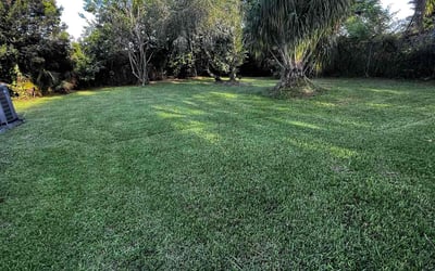 Photo of Sheilah C.'s yard after getting lawn care in Fort Pierce, FL