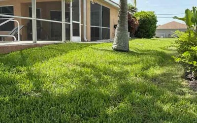 Photo of Brent D.'s yard after getting lawn care in Grove City, OH