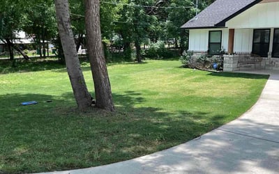 Photo of Ann L.'s yard after getting lawn care in Rochester, NH