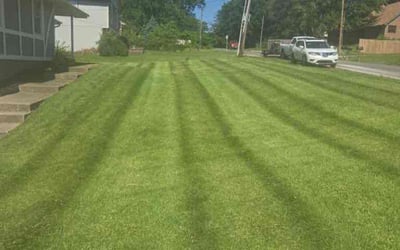 Photo of Lizette R.'s yard after getting lawn care in Belton, MO