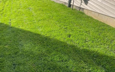 Photo of Shelly B.'s yard after getting lawn care in Lake Orion, MI