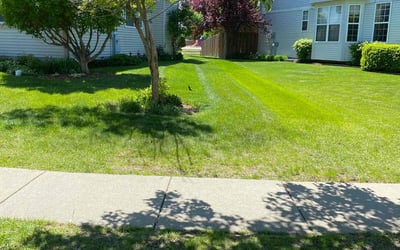 Photo of Darlene V.'s yard after getting lawn care in Panama City Beach, FL