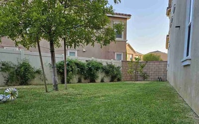 Photo of Donald B.'s yard after getting lawn care in Lake Elsinore, CA