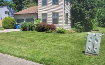 Photo of Randall A.'s yard after getting lawn care in Bear, DE
