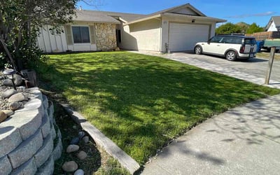 Photo of undefined S.'s yard after getting lawn care in Antioch, CA