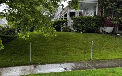Photo of Paula F.'s yard after getting lawn care in Hampstead, MD