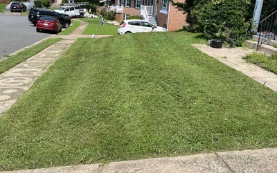 Photo of Christine B.'s yard after getting lawn care in Dale City, VA