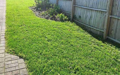 Photo of Megan C.'s yard after getting lawn care in Frederick, MD