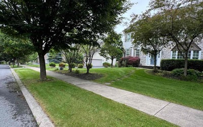 Photo of Beverly S.'s yard after getting lawn care in Athens, AL