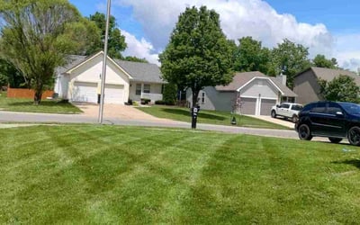 Photo of Greg P.'s yard after getting lawn care in Excelsior Springs, MO