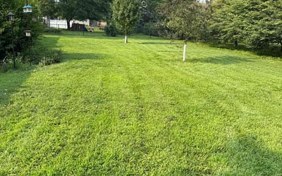 Photo of Neil H.'s yard after getting lawn care in Bolivar, MO