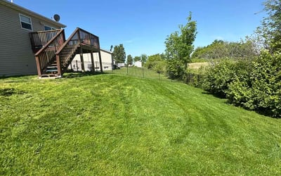 Photo of Estee R.'s yard after getting lawn care in Farmington, MN