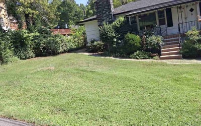 Photo of Hannah W.'s yard after getting lawn care in Chattanooga, TN